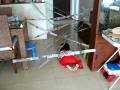 videos de Terrorist Training 2