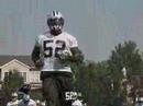 panthers OTA report beason panthers OTA report beason