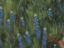 Painting Bluebonnets by Artist John Hannafin