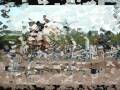 video show.wmv