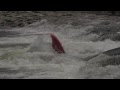 Green River Freestyle Kayaking