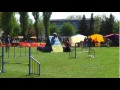 Click here to watch this video Ghandi aility Łodz 2011 05 07
