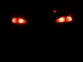 mephiz