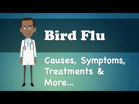 how to cure bird flu