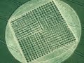 crop circle / cerchi nel grano