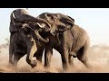 living africa book   steve bloom