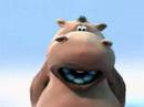 hippo