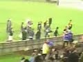 NZ Knights Fans Victory Atmosphere III NZ Knights Fans Victory Atmosphere III
