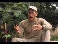 videos de Rainwater Harvesting Basics (2) Brad Lancaster
