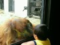 Alex talks to the Monkey at the Zoo