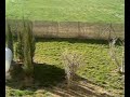 ma fen�tre