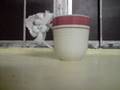videos de miguel