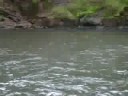 cachoeira do sucuri em mineiros goias