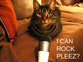 Try not to laugh!