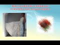 Christmas Wedding Flowers