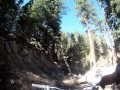 MtPinosRun2Prt1.2011 - 