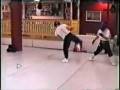 SteFanJKD/Sweden; Sparring with contact