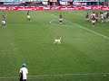 sale el 4 que es medio perro