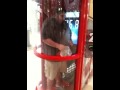 Robbie In The Hurricane Machine