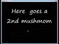 REDCHEEZ VS MUSHDAD LOCALMS