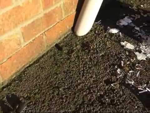 Vacuum Litter Collectors | Overton Range Video Image