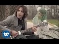 Grandi Animali Marini Napoleone Azzurro Video and Lyrics