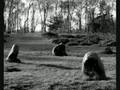 Megaliths - ukulele arrangement by Ken Middleton