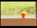 Pavlova Hiza / Pavelhaus :video work by Natalija Ribovic