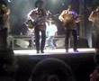 los-tigrillos