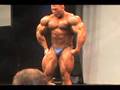 FIBO-2008-Dennis-Wol