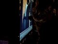 re-nora-the-pianoplaying-cat.html