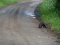 Fisher family @ Cedar River Upstate NY July 09.avi