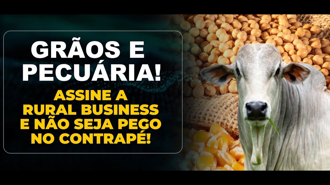 Grãos E  Pecuária! Assine A Rural Business E Não Seja Pego No Contrapé!
