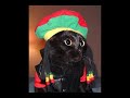 Bong Selecta meets Elephantman - War Mix