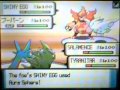 pokemon D/P wifi batle moemoe112 vs PgtXBossXbjorn pokemon D/P wifi batle moemoe112 vs PgtXBossXbjorn