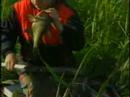 fishin