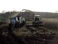 videos de Maize 2008