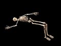 Move Your Skeleton