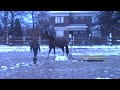 MOV067.MOD MOV067.MOD