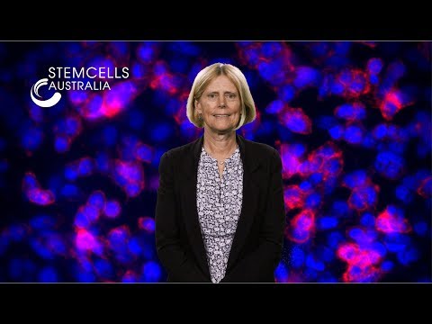 Welcome to Stem Cells Australia 