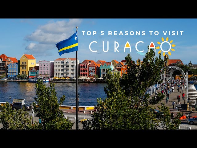 Dive Curacao YouTube Channel