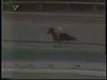 Clasico General Joaquin Crespo 1999