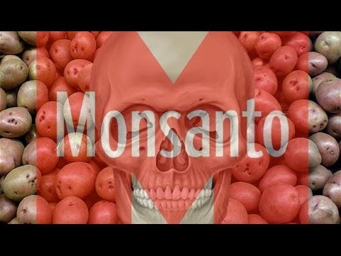 HAWAII BANS GMO FOOD & CROPS – Anti GMO / Monsanto Spreading Across The World