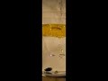3 Stone into oil & water EX-F1 1200fps