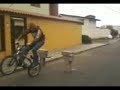 chistefano