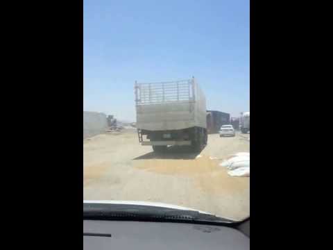 كس مشعر