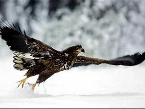 De kracht van uw liefde – Opwekking 488