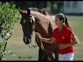 Imperial Du Blin & Dexter leam Pondi
