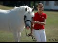 Imperial Du Blin & Dexter leam Pondi