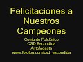 campeones regionales de cueca 2008 antofagasta
